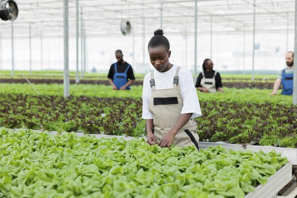 What's the Best Method for Cooking Fluffy Quinoa Every Time?